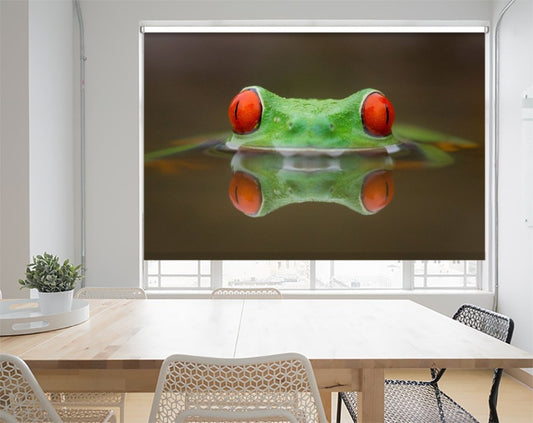Red Frog Eyes Printed Picture Photo Roller Blind - 1X840087 - Art Fever - Art Fever