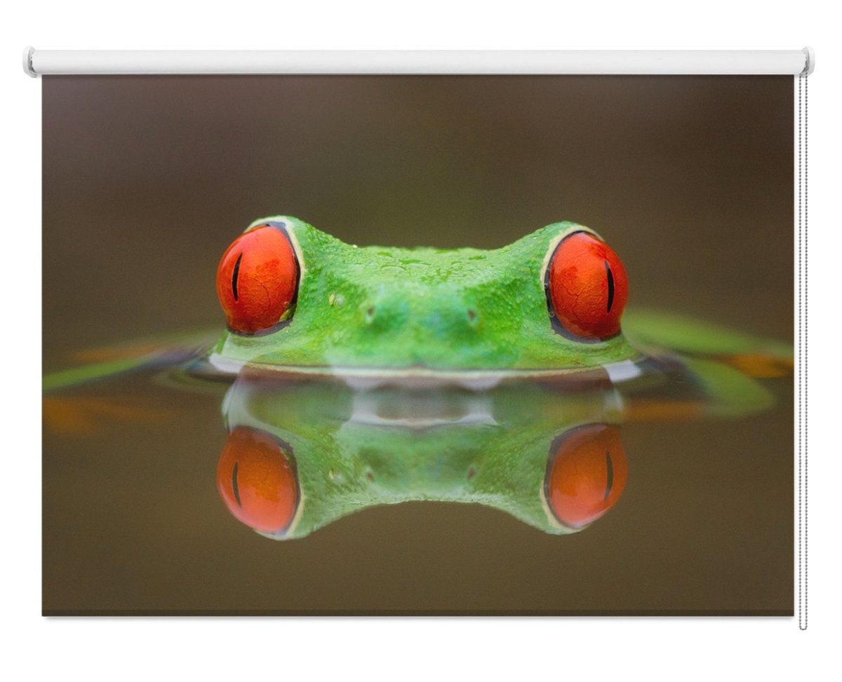 Red Frog Eyes Printed Picture Photo Roller Blind - 1X840087 - Art Fever - Art Fever