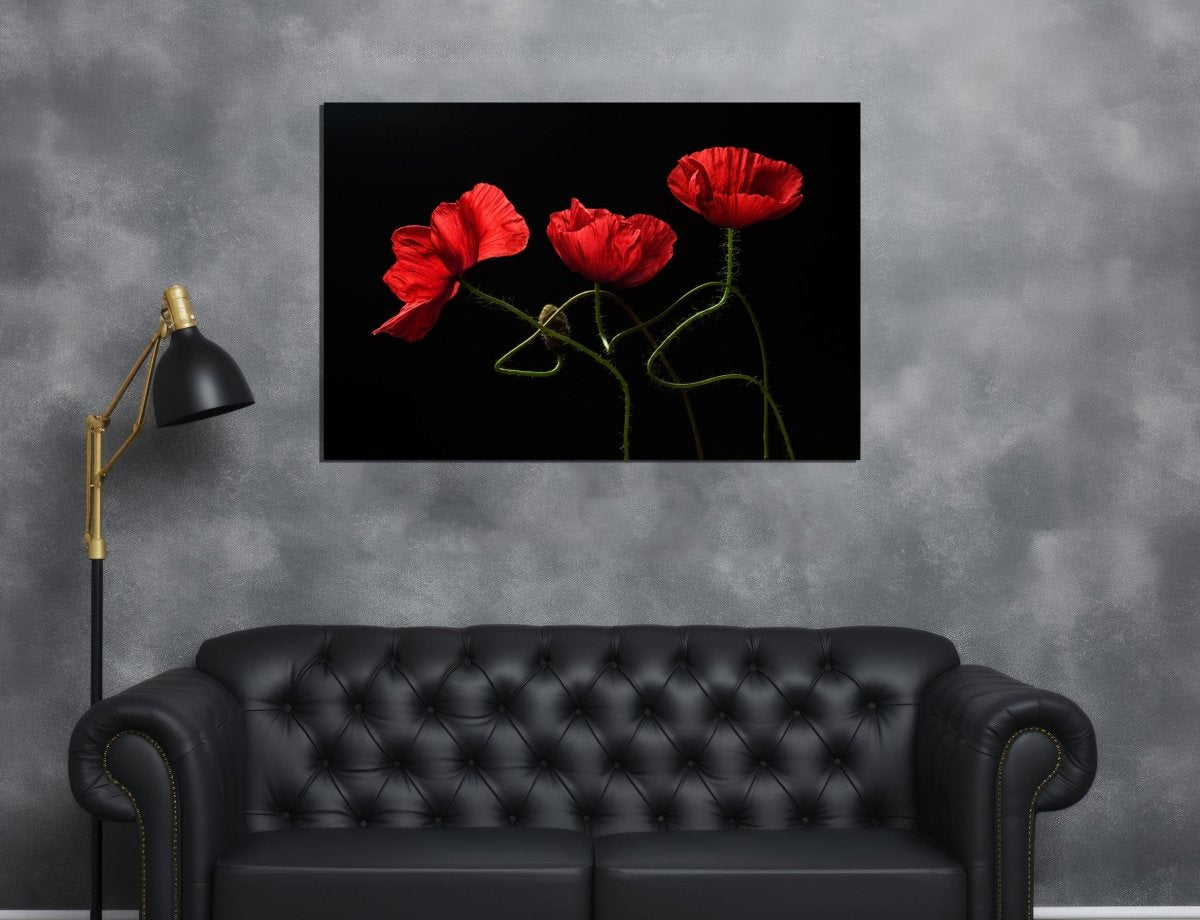 Red Poppies on Black Background Canvas Print Picture - 1X1148136 - Art Fever - Art Fever