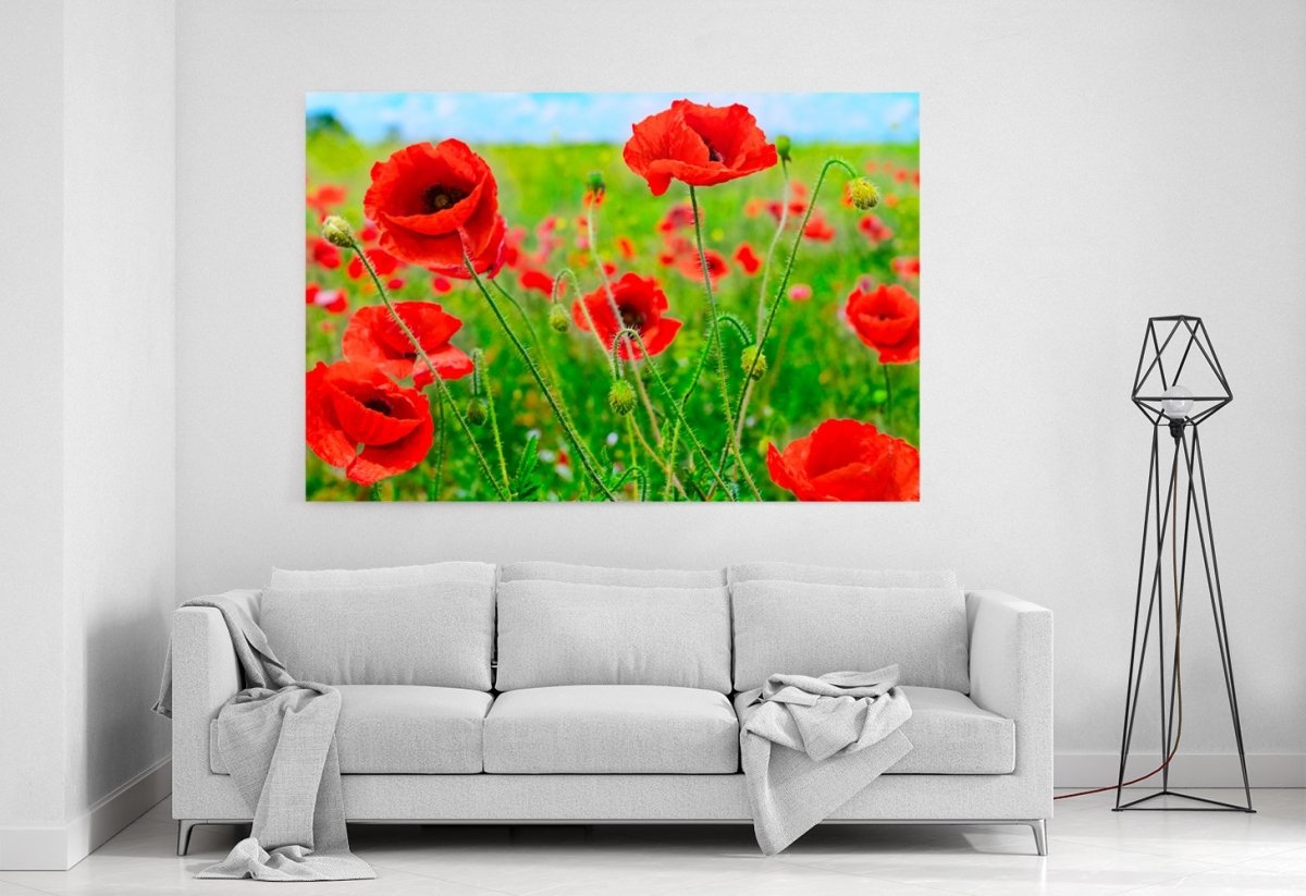Red Poppies On Green Field Canvas Print Picture - SPC263 - Art Fever - Art Fever