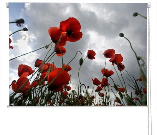 Red poppy field Printed Picture Photo Roller Blind - RB149 - Art Fever - Art Fever