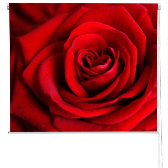 Red rose close up Printed Picture Photo Roller Blind - RB161 - Art Fever - Art Fever