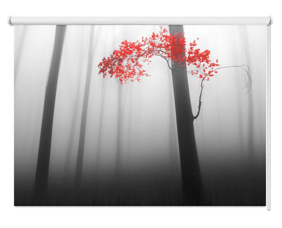 Red Tree Misty Woods Printed Picture Photo Roller Blind - 1X277286 - Art Fever - Art Fever