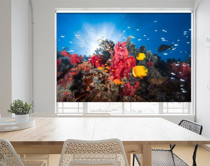 Reef Life Printed Picture Photo Roller Blind- 1X1447843 - Art Fever - Art Fever