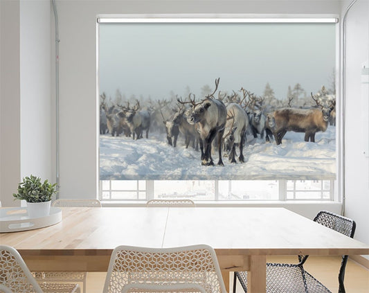 Reindeer in the Snow Printed Picture Photo Roller Blind - 1X1656382 - Art Fever - Art Fever