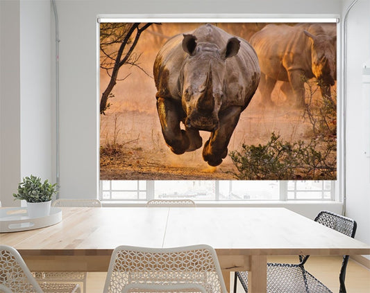 Rhino Learning To Fly Printed Picture Photo Roller Blind- 1X55766 - Art Fever - Art Fever