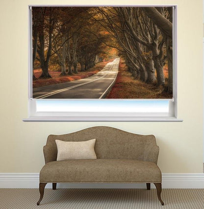 Road through the Forest Printed Picture Photo Roller Blind - RB431 - Art Fever - Art Fever