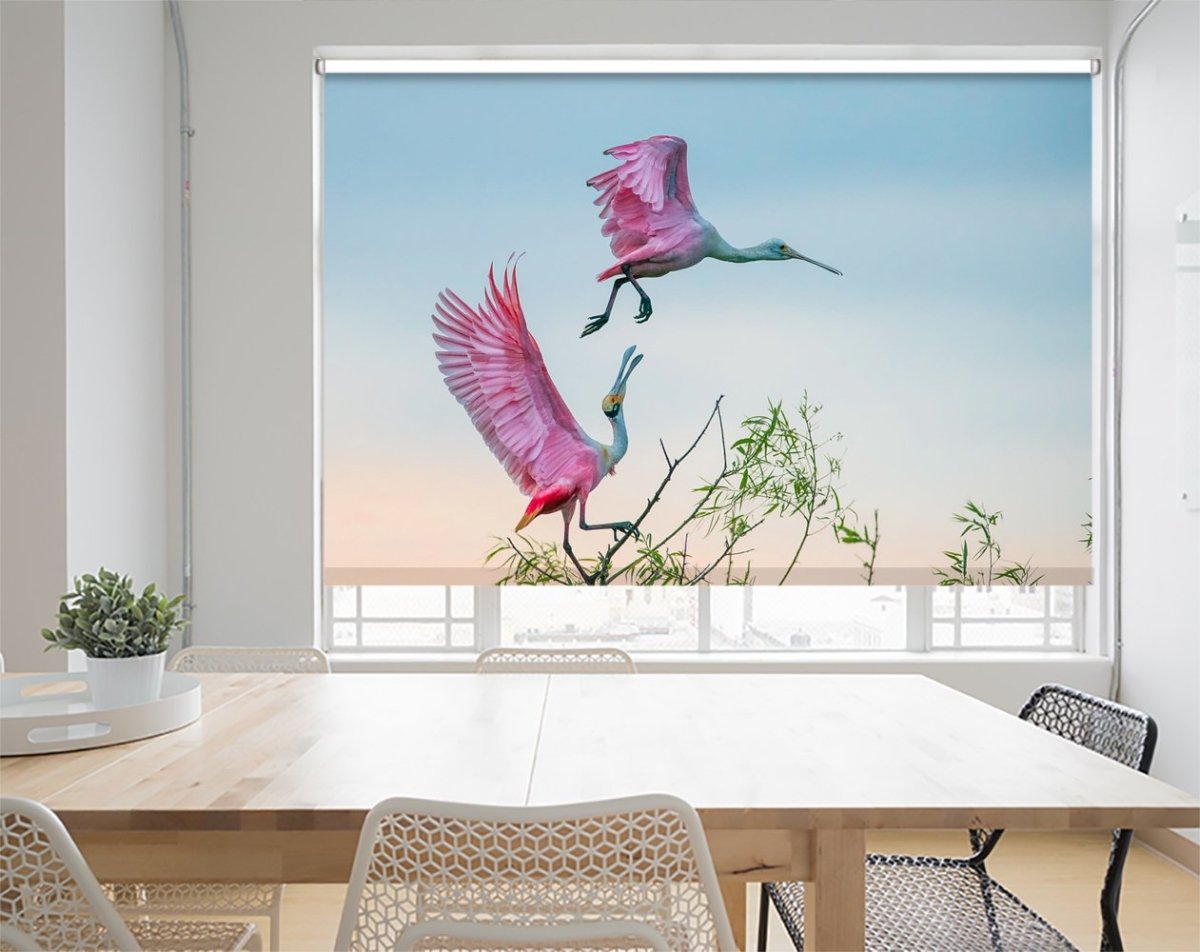 Roseate spoonbills Printed Picture Photo Roller Blind- 1X973264 - Art Fever - Art Fever