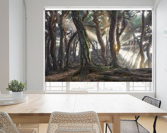 Sacred Pine Trees Printed Picture Photo Roller Blind - 1X1658484 - Art Fever - Art Fever