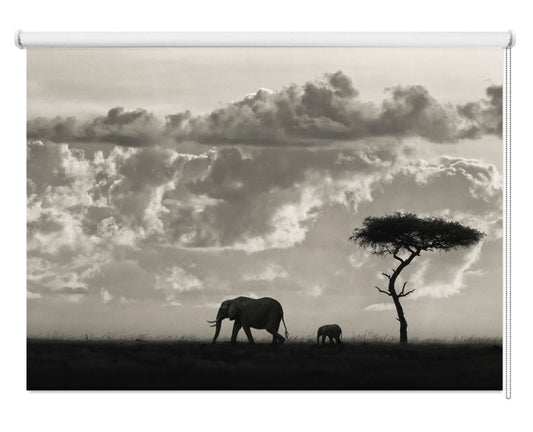 Safari Silhouette Elephant Wildlife Printed Picture Photo Roller Blind - 1X562527 - Art Fever - Art Fever