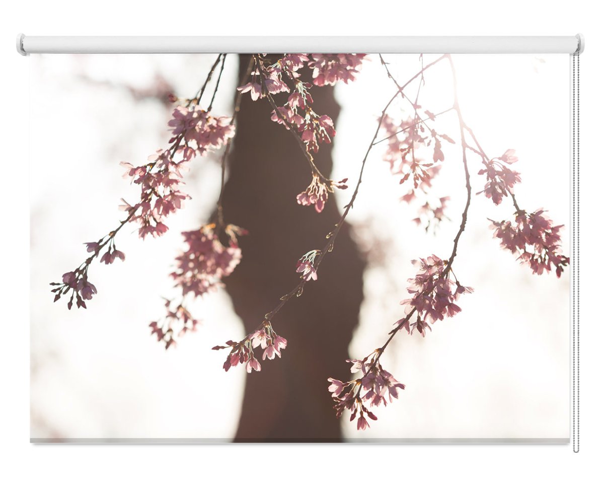 Sakura Printed Photo Roller Blind - 1X1121484 - Art Fever - Art Fever