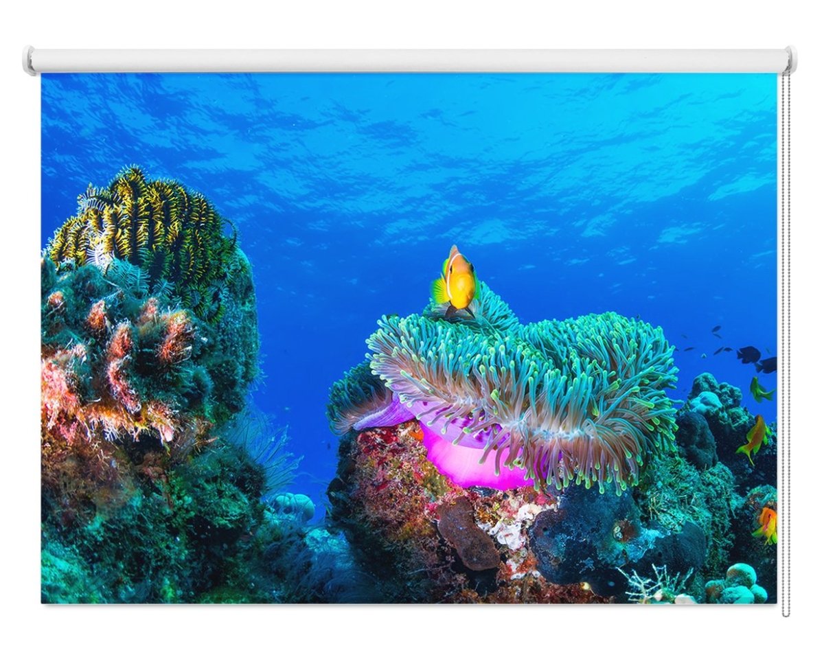 Sea Life Printed Picture Photo Roller Blind- 1X1132974 - Art Fever - Art Fever