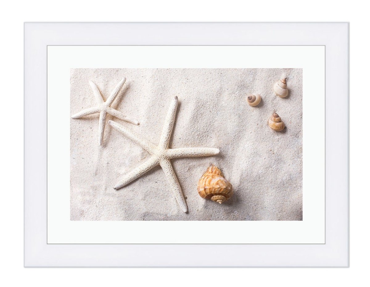 Sea Shells in the Sand Framed Mounted Print Picture - FP30 - Art Fever - Art Fever