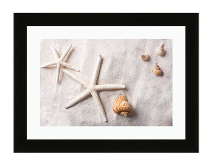 Sea Shells in the Sand Framed Mounted Print Picture - FP30 - Art Fever - Art Fever