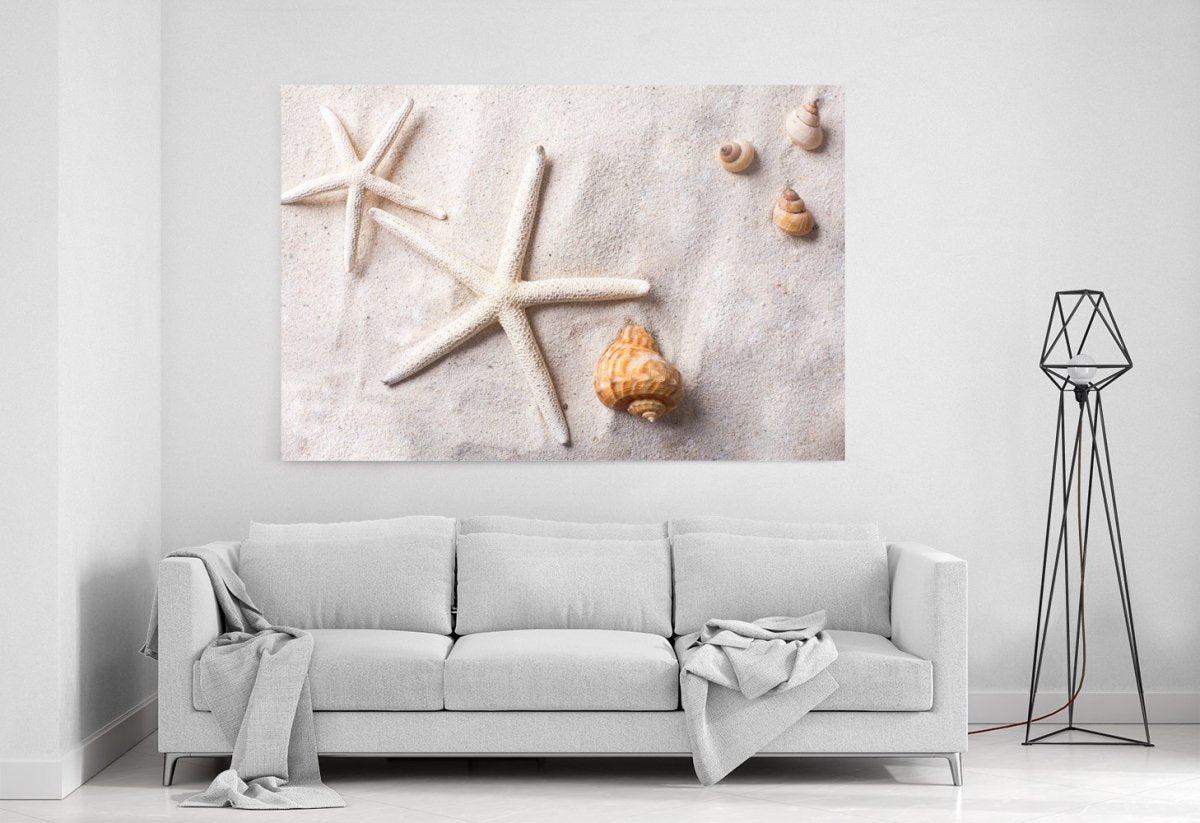 Sea Shells on Sand Canvas Print Picture - SPC250 - Art Fever - Art Fever