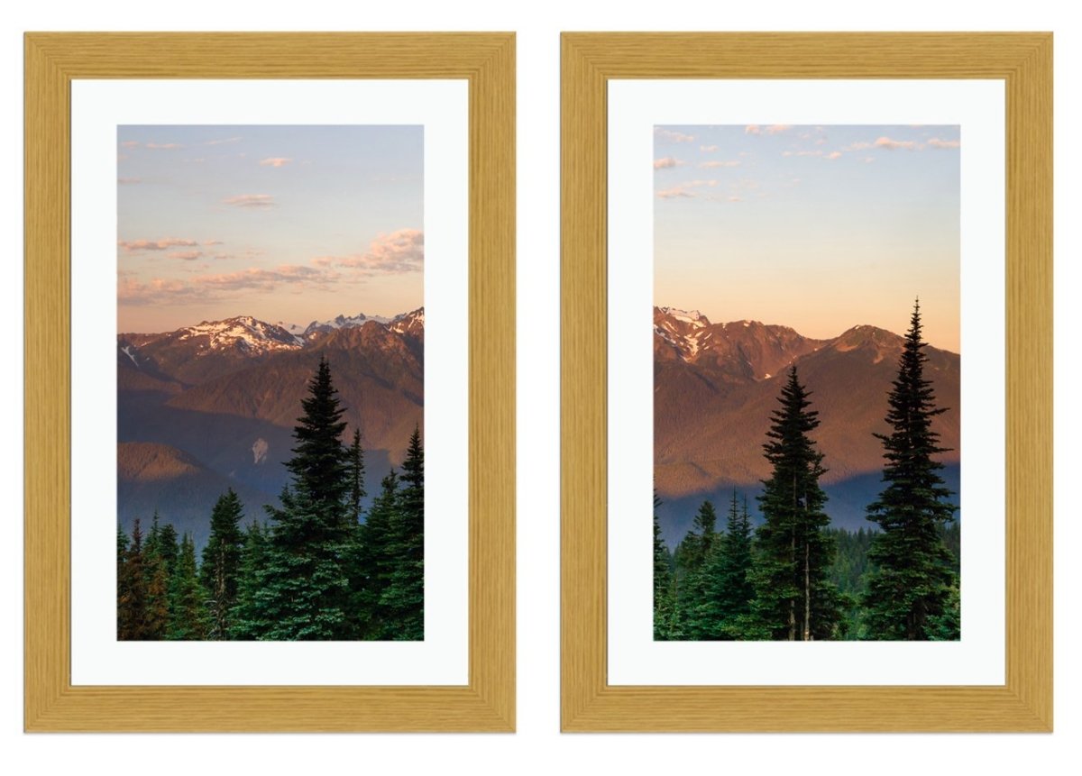 Set of 2 x Framed Mounted Prints of The Olympic Mountains And Hurricane Ridge - FP89 - Art Fever - Art Fever
