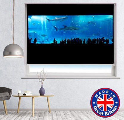 Shark in the Aquarium Printed Picture Photo Roller Blind - RB631 - Art Fever - Art Fever