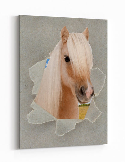 Shetland Pony Peeking through the Canvas Safari Scene Printed Canvas Print Picture - SPC183 - Art Fever - Art Fever