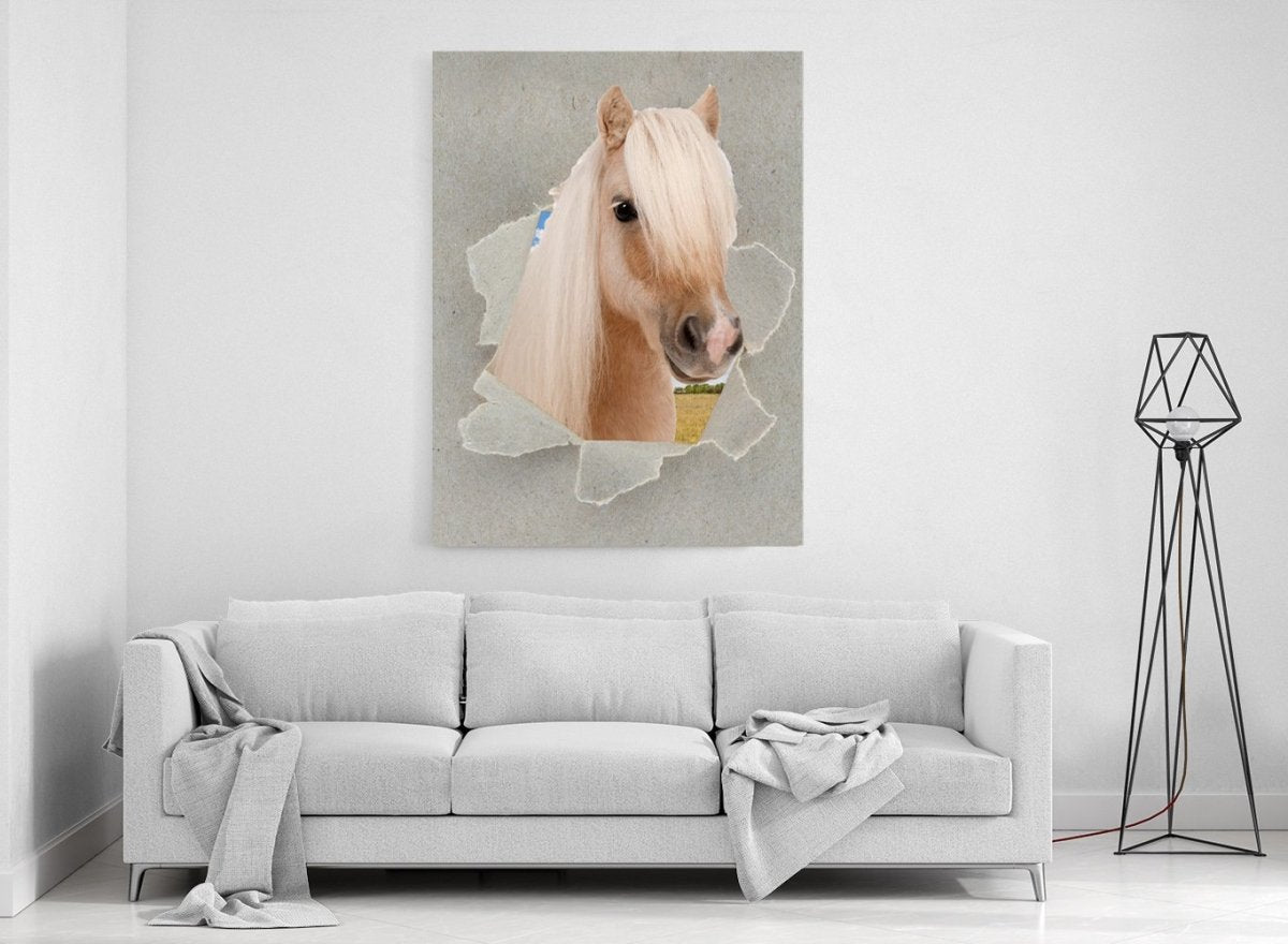 Shetland Pony Peeking through the Canvas Safari Scene Printed Canvas Print Picture - SPC183 - Art Fever - Art Fever