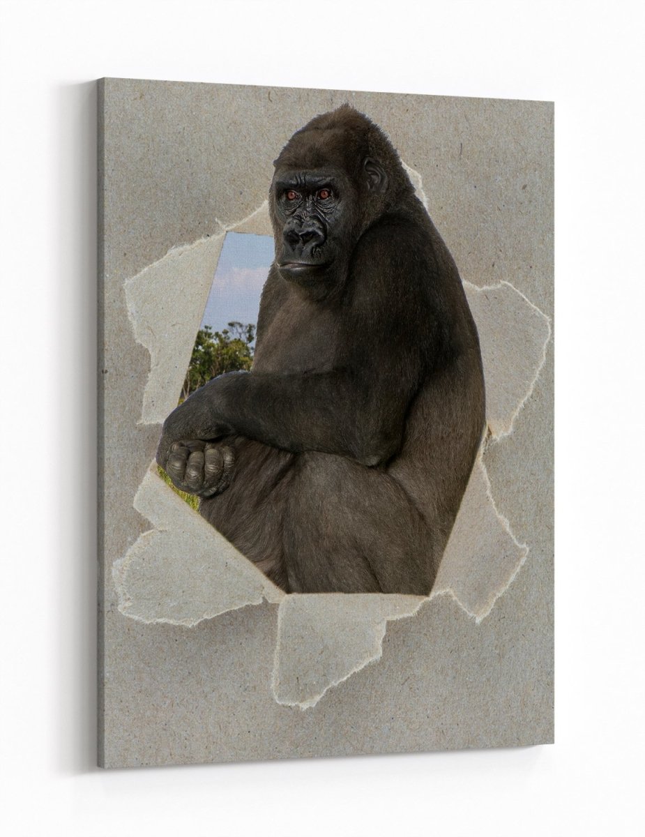 Silverback Gorilla Peeking through the Canvas Animal Scene Printed Canvas Print Picture - SPC191 - Art Fever - Art Fever