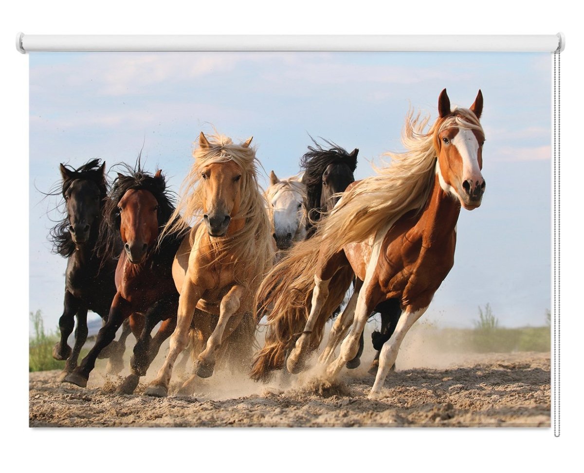 Six Horses Printed Picture Photo Roller Blind - 1X1276656 - Art Fever - Art Fever