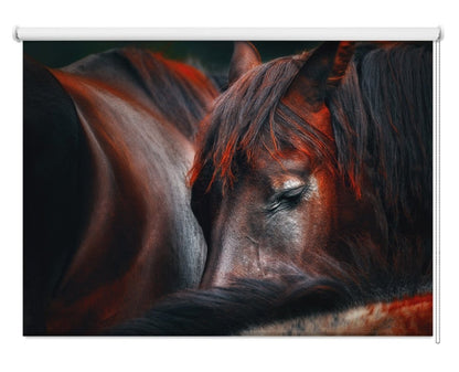 Sleeping Red Horse Printed Picture Photo Roller Blind - 1X219032 - Art Fever - Art Fever
