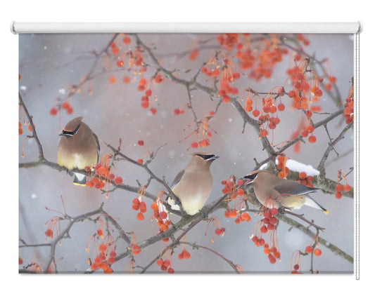 Snow, Bird And Tree Printed Photo Roller Blind - 1X1467402 - Art Fever - Art Fever