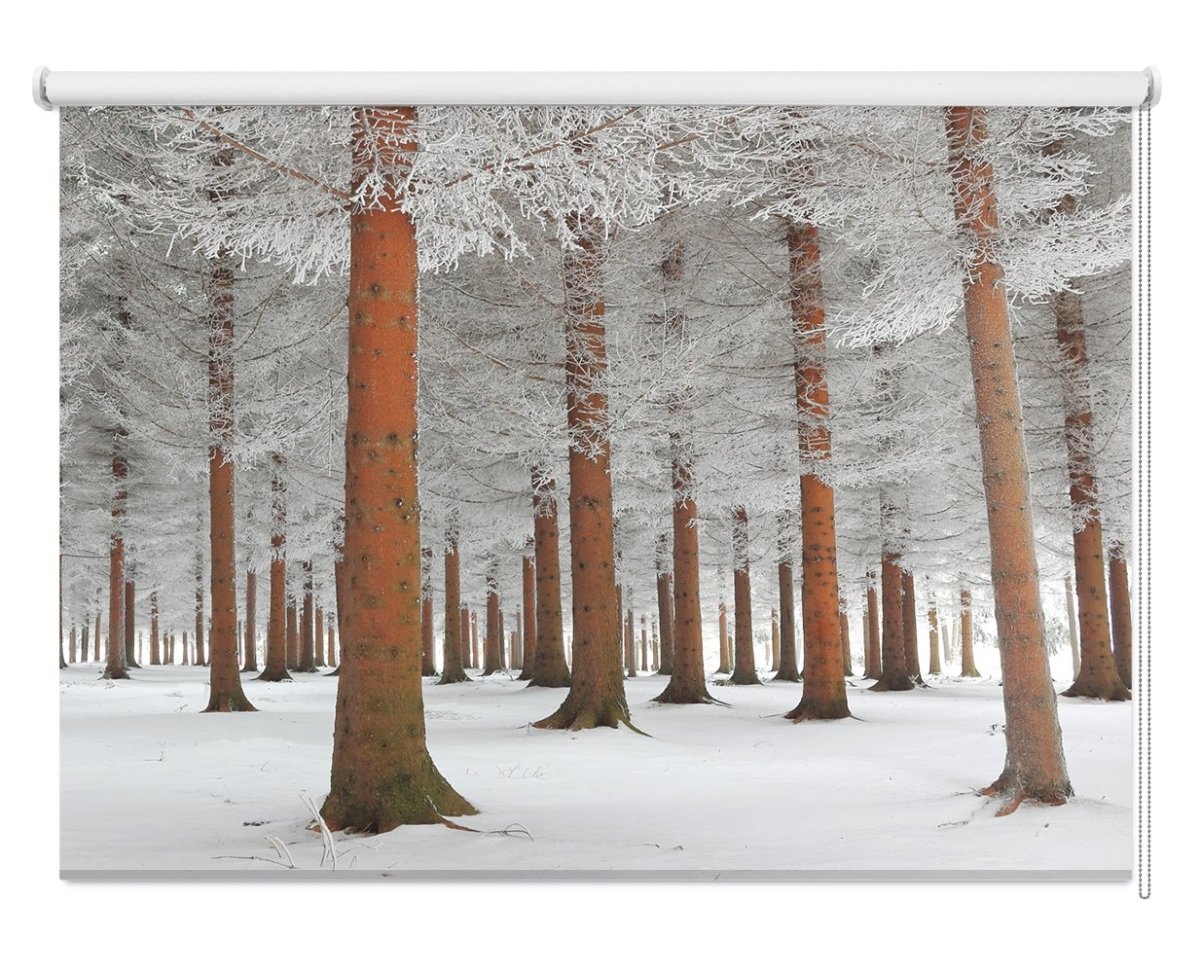 Snow Forest Printed Picture Photo Roller Blind- 1X529919 - Art Fever - Art Fever