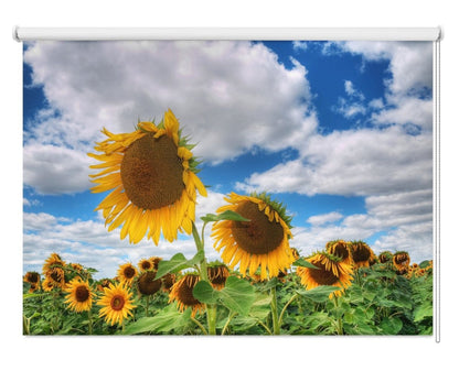 Sunflower Field Printed Picture Photo Roller Blind - RB1131 - Art Fever - Art Fever