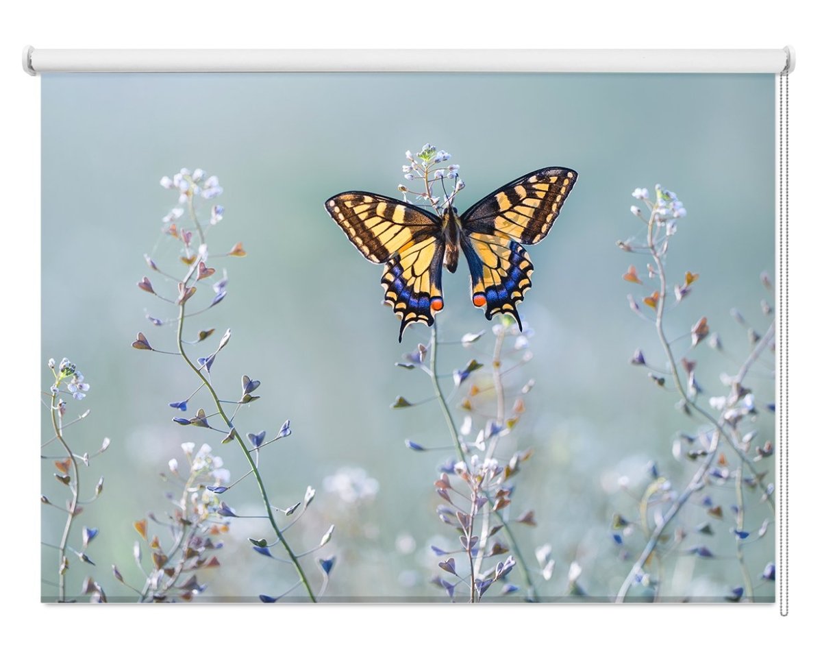 Swallowtail Beauty Printed Picture Photo Roller Blind - 1X1129425 - Art Fever - Art Fever