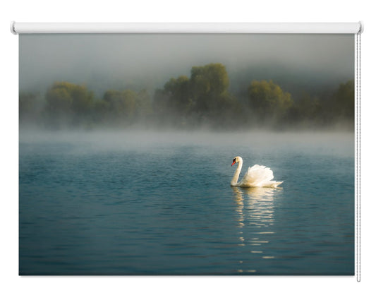 Swan Lake Printed Photo Roller Blind - 1X1229835 - Art Fever - Art Fever
