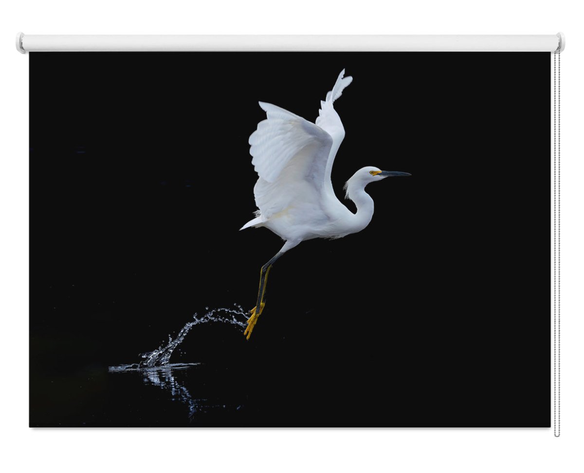 Take Flight Printed Photo Roller Blind - 1X1805715 - Art Fever - Art Fever
