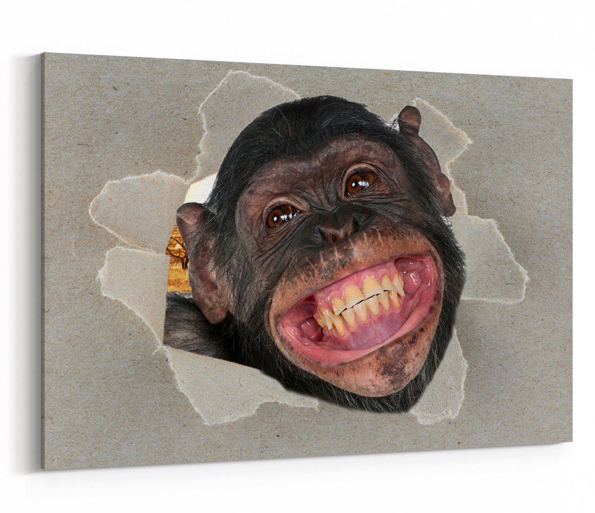 The Cheeky Chimp Peeking through the Canvas Animal Scene Printed Canvas Print Picture - SPC192 - Art Fever - Art Fever