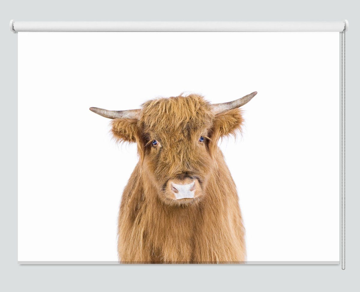 The Cow Peeking Animal Printed Picture Photo Roller Blind - 1X2402462 - Art Fever - Art Fever