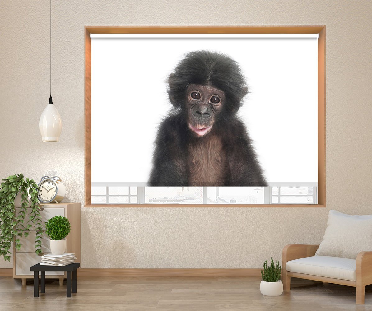 The Cute Baby Monkey Peeping Animal Printed Picture Photo Roller Blind - 1X2402471 - Art Fever - Art Fever