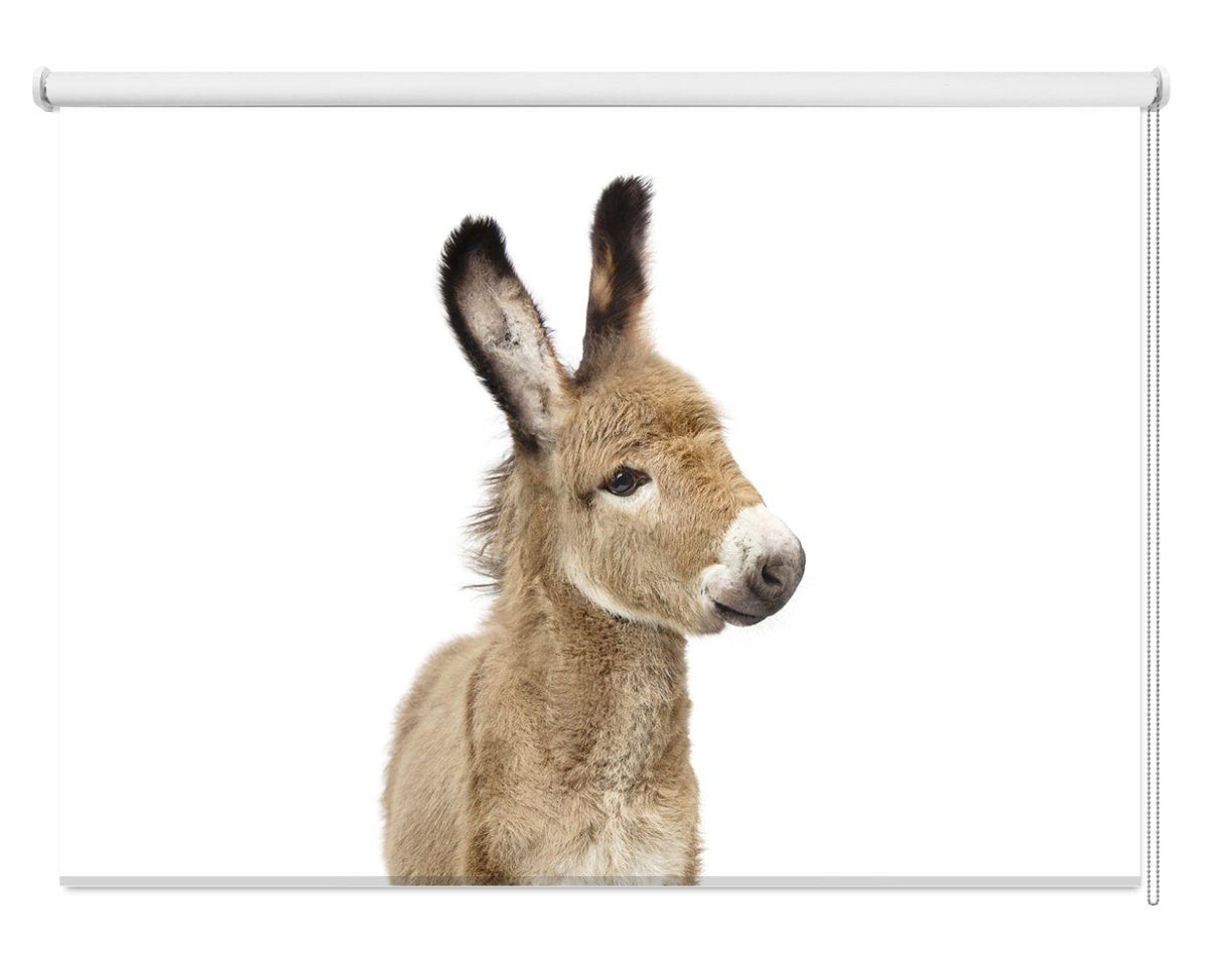 The Cute Donkey Peeping Animal Printed Picture Photo Roller Blind - 1X2402470 - Art Fever - Art Fever