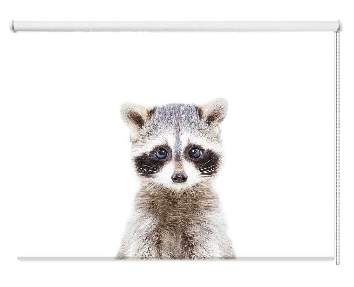 The Cute Racoon Peeping Animal Printed Picture Photo Roller Blind - 1X2402472 - Art Fever - Art Fever