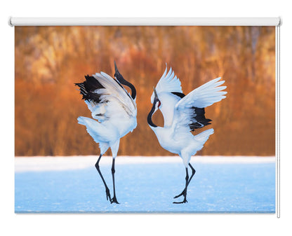 The Dance Of Love, Red Crowned Crane Printed Photo Roller Blind - 1X1048702 - Art Fever - Art Fever