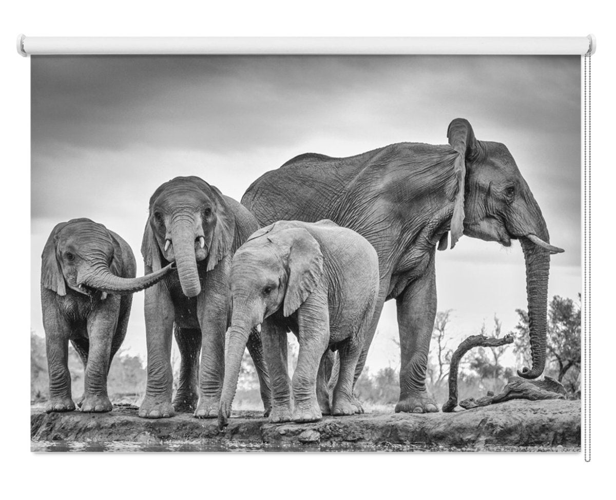The Elephant Family Printed Picture Photo Roller Blind - 1X777962 - Art Fever - Art Fever