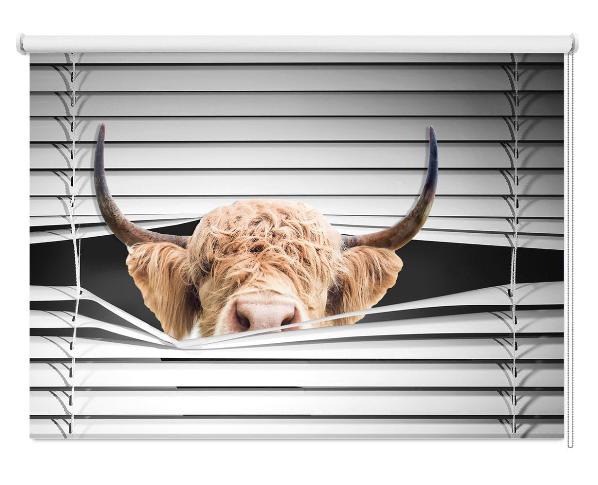 The Highland Cow Peeking through the blind Printed Picture Photo Roller Blind - RB1284 - Art Fever - Art Fever