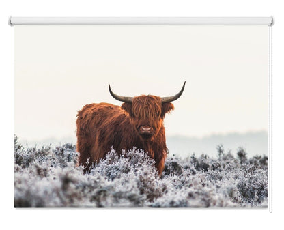 The Highland Printed Picture Photo Roller Blind - 1X1074865 - Art Fever - Art Fever
