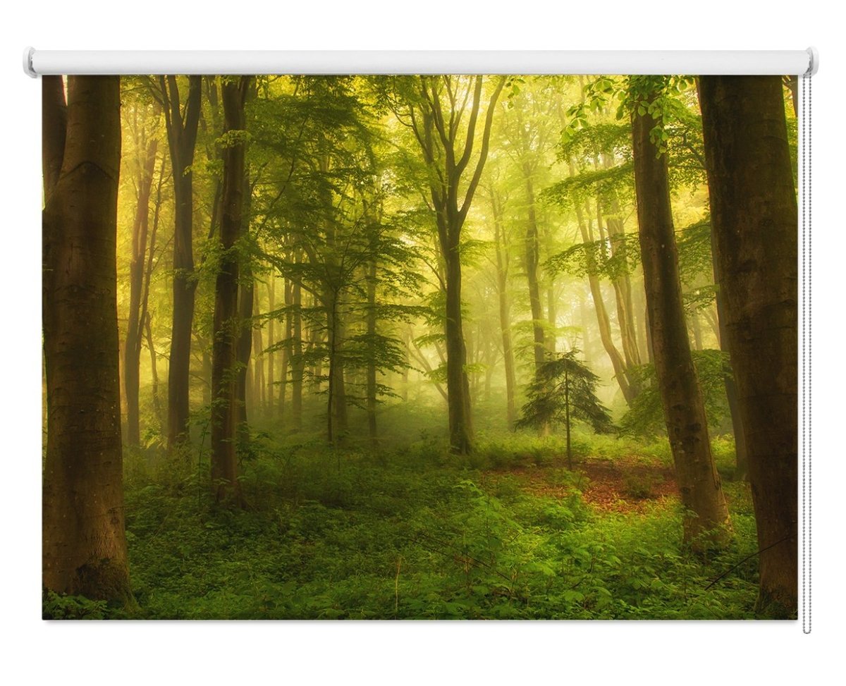 The Little Tree Printed Picture Photo Roller Blind - 1X1140641 - Art Fever - Art Fever