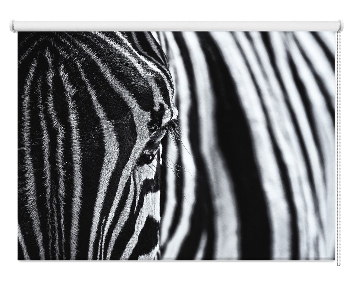 The Look of the Zebra Printed Picture Photo Roller Blind - 1X1151889 - Art Fever - Art Fever