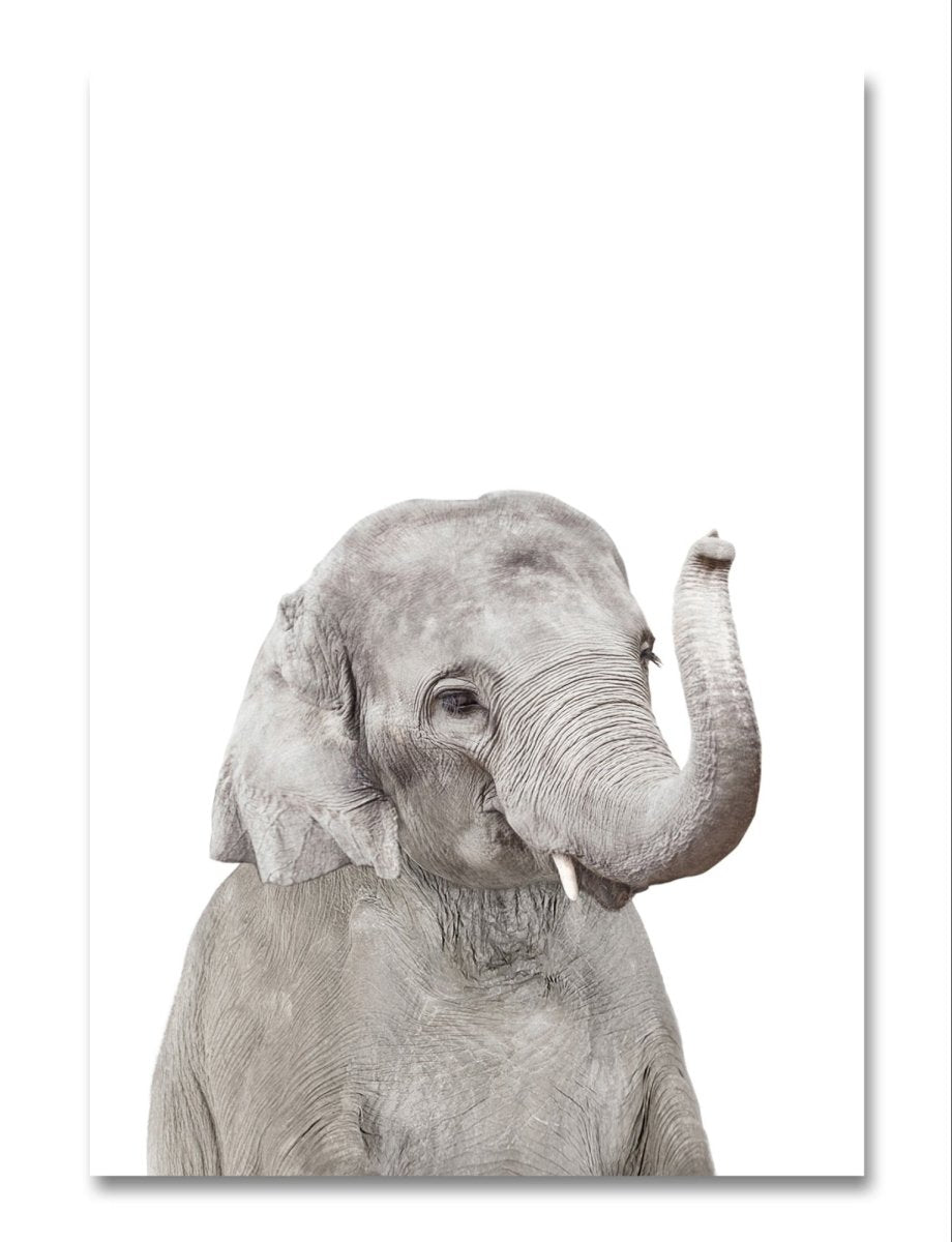 The Peeking Baby Elephant 🐘 Canvas Print Picture Wall Art - 1X2402460 - Art Fever - Art Fever