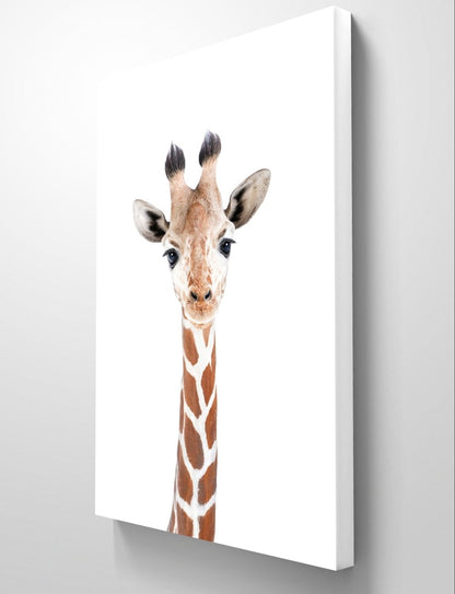 The Peeking Baby Giraffe 🦒 Canvas Print Picture Wall Art - 1X2402457 - Art Fever - Art Fever