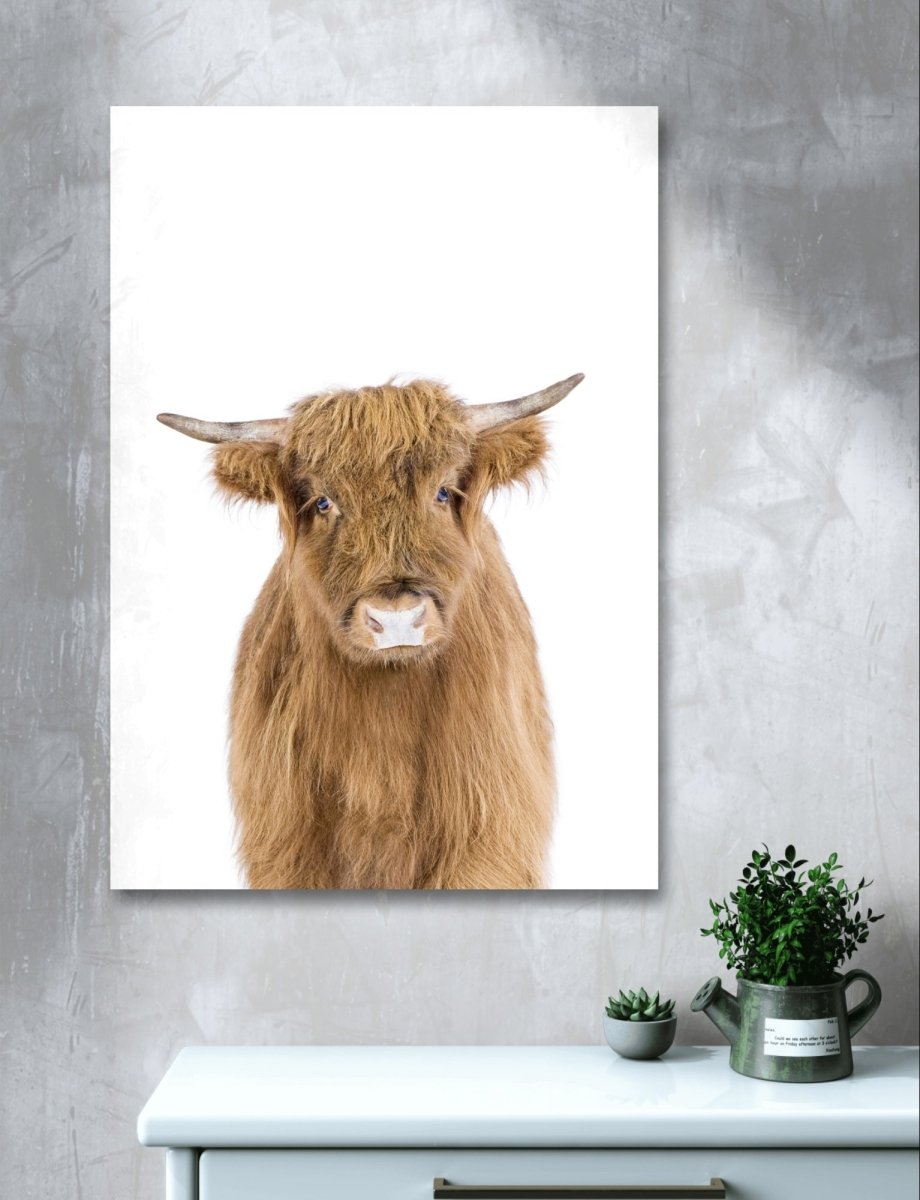 The Peeking Baby Highland Cow 🐮 Canvas Print Picture Wall Art - 1X2402462 - Art Fever - Art Fever