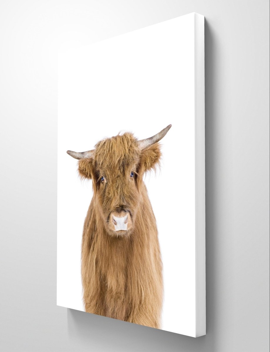 The Peeking Baby Highland Cow 🐮 Canvas Print Picture Wall Art - 1X2402462 - Art Fever - Art Fever