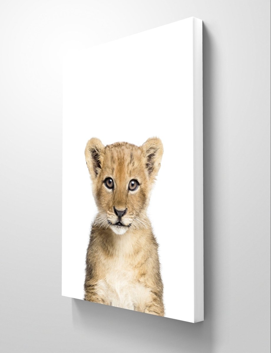 The Peeking Baby Lion Cub 🦁Canvas Print Picture Wall Art - 1X2402459 - Art Fever - Art Fever