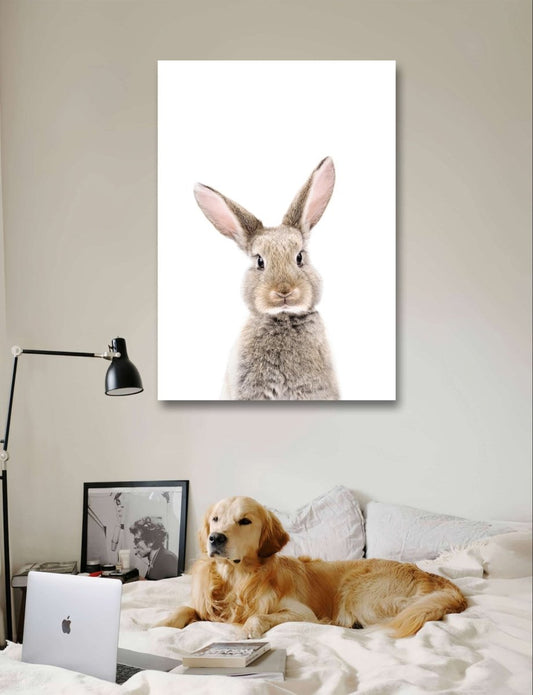 The Peeking Baby Rabbit 🐰 Canvas Print Picture Wall Art - 1X2402458 - Art Fever - Art Fever