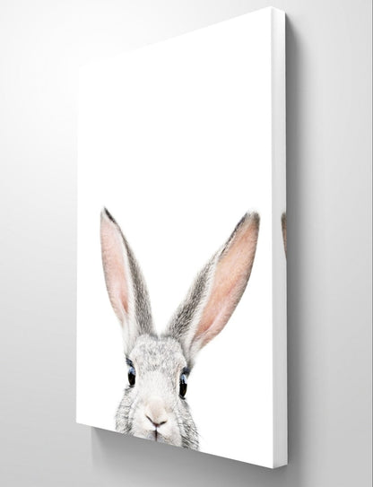 The Peeking Bunny Rabbit Canvas Print Picture Wall Art - 1X2381972 - Art Fever - Art Fever